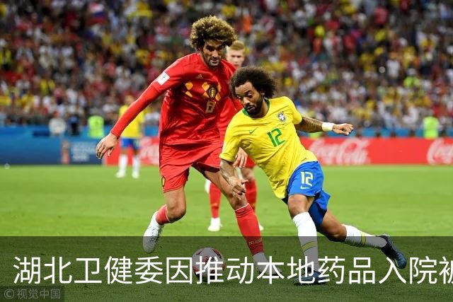 湖北卫健委因推动本地药品入院被反垄断调查
